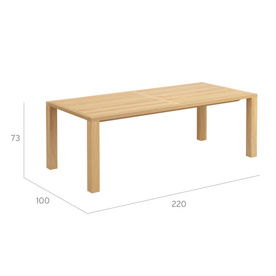 Square Table 220 x 100