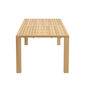 Square Table 220 x 100