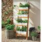Normandy Plant Ladder White