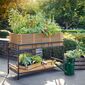 Brittany Balcony/Terrace Raised Bed