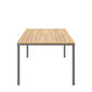 Portland Table Graphite 220 x 100 with teak top