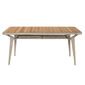 Charleston Table 165 x 90 with teak top