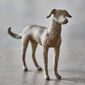 Bronze dog Cicero, limited edition