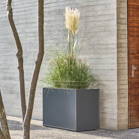 Antony stainless steel trellis attachment 100 × 50