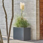 Antony stainless steel trellis attachment 100 × 50