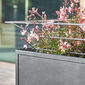 Antony stainless steel trellis attachment 100 × 50