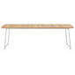 Amari Table 240 x 100 with teak top