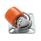 Grenoble set of castors