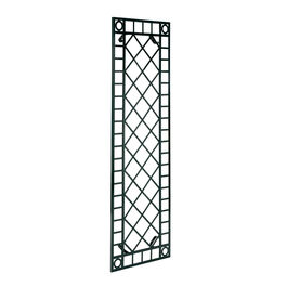 Narrow Wall Trellis
