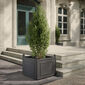Grenoble Planter Petit 60 x 60