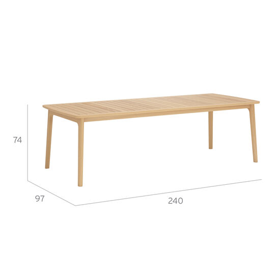 Preston Table 240 x 100 with teak top