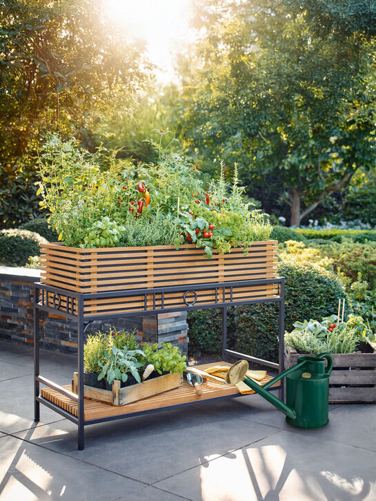 Brittany Raised Bed for Balcony/Terrace