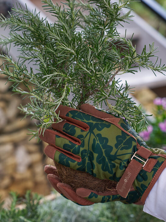 Telford Garden Gloves Women S/M